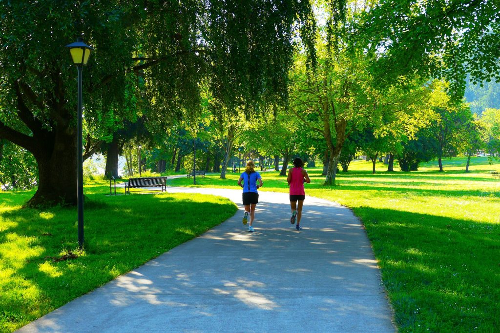 Exercise Sharpens Thinking: What the Evidence Now Shows People jogging along a path in a green park in the morning
